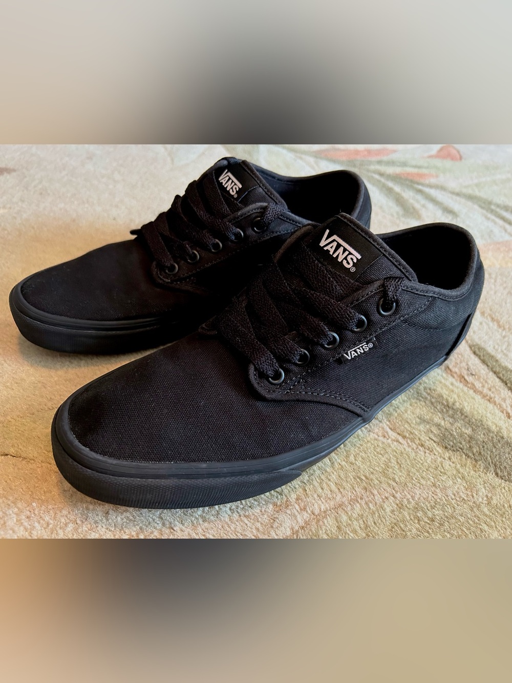 Vans Black Canvas Low-Top Skate Sneakers